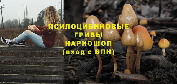 эйфоретик Россошь