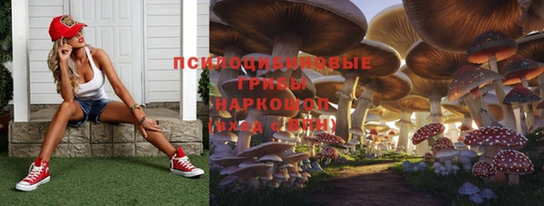 MESCALINE Алзамай